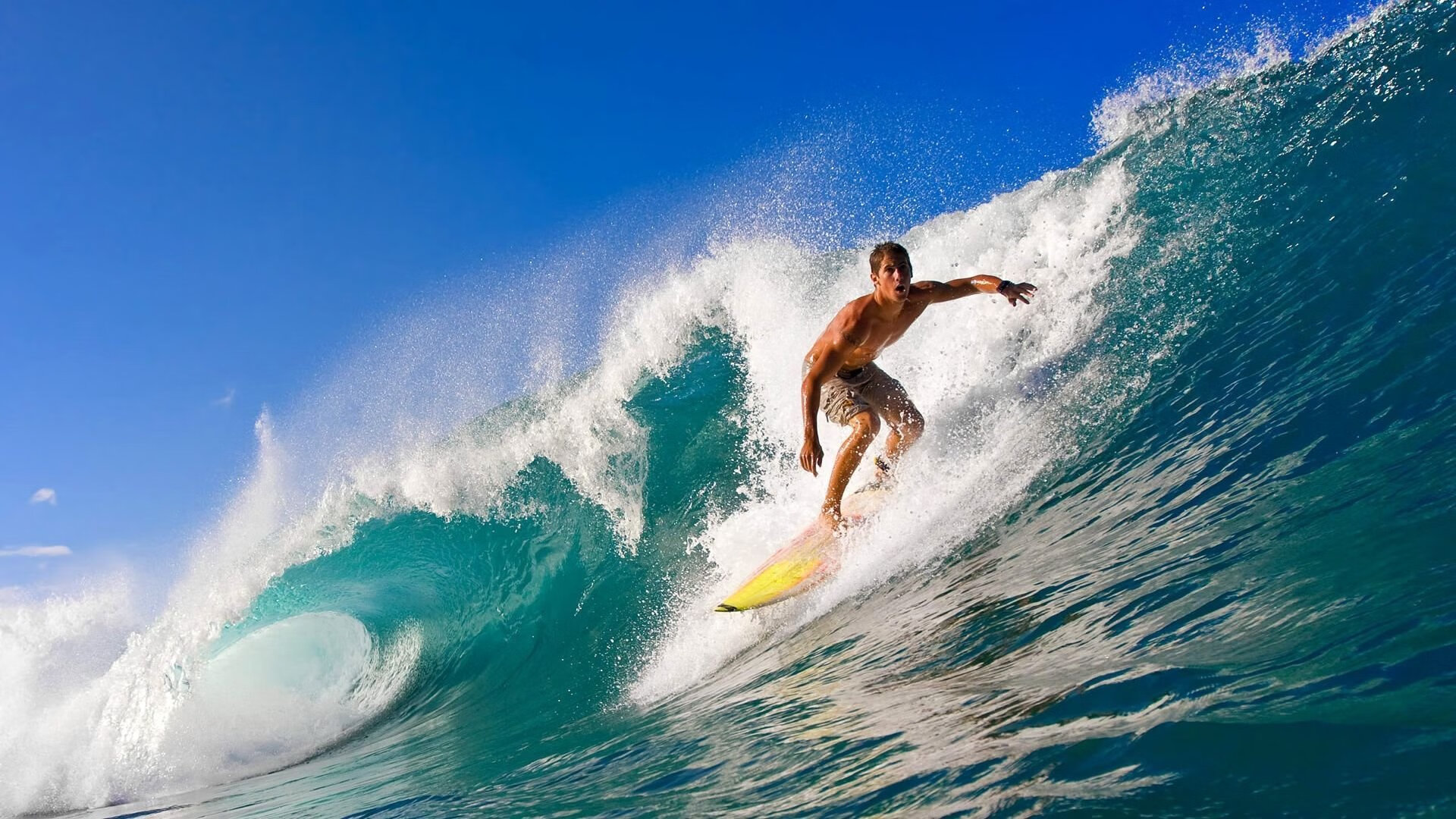 自由泳长程韩国展现耐力节奏，自由泳长游视频