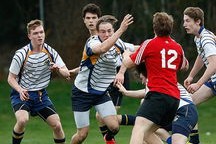 开云体育官方入口-新加坡队在国际乒联混合团体世界杯中的稳健表现，新加坡乒乓球世界排名